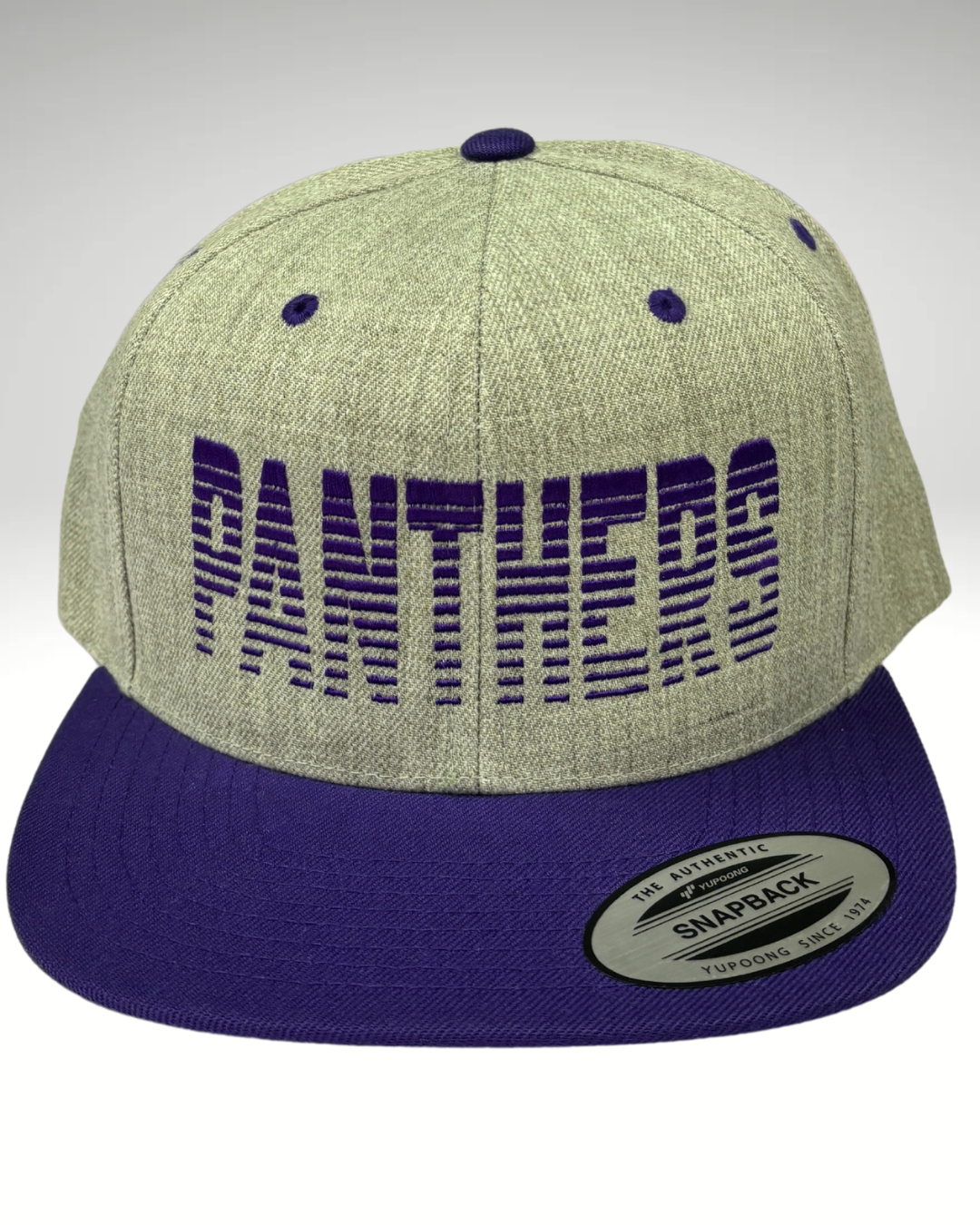 Faded Panthers Snapback Hat