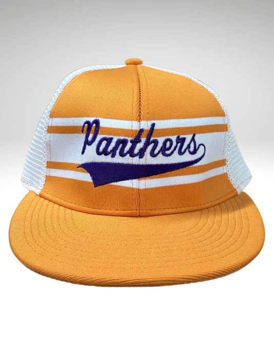 Retro Panthers Snapback Hat