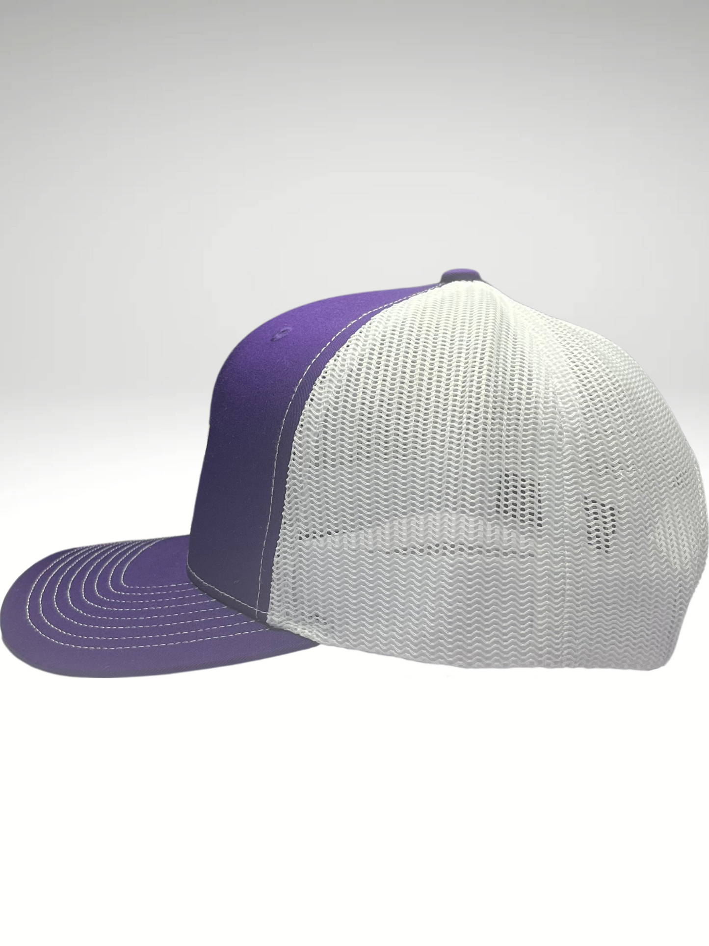 Richardson LH Purple Snapback Hat