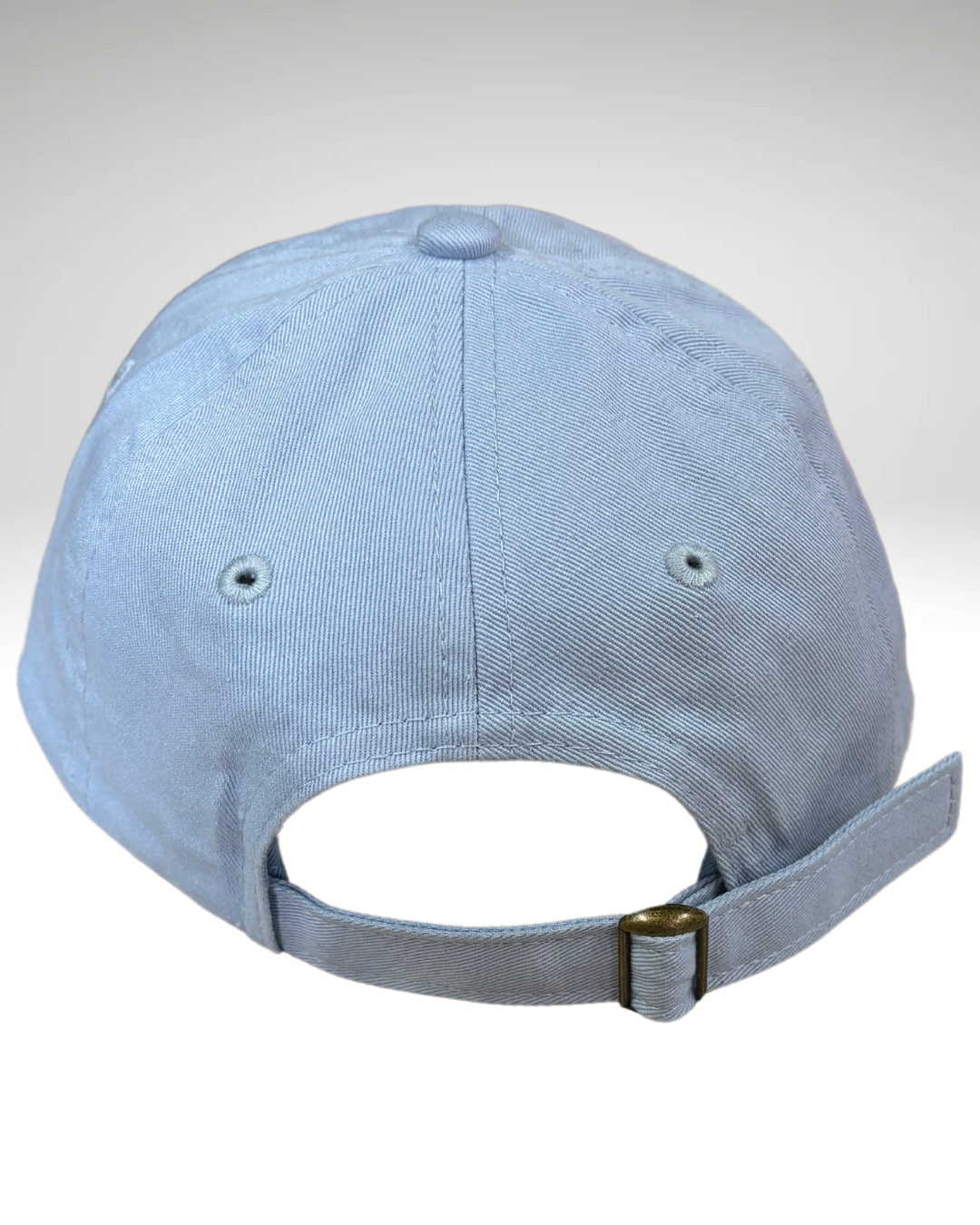 Wrangler Mask Light Blue Hat