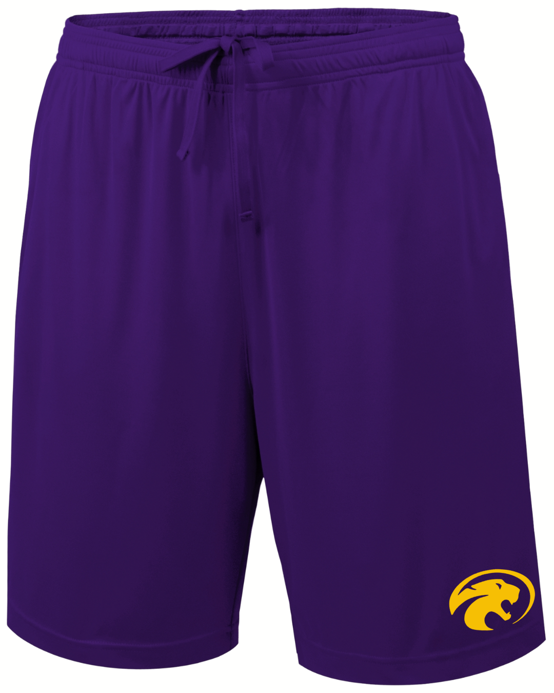 Boys Cathead Athletic Shorts Purple